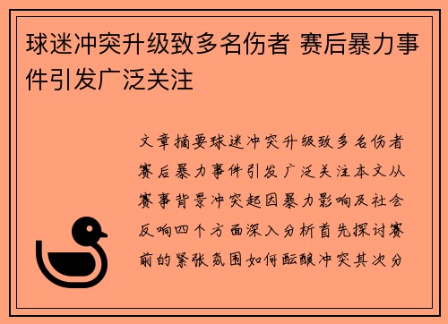 球迷冲突升级致多名伤者 赛后暴力事件引发广泛关注